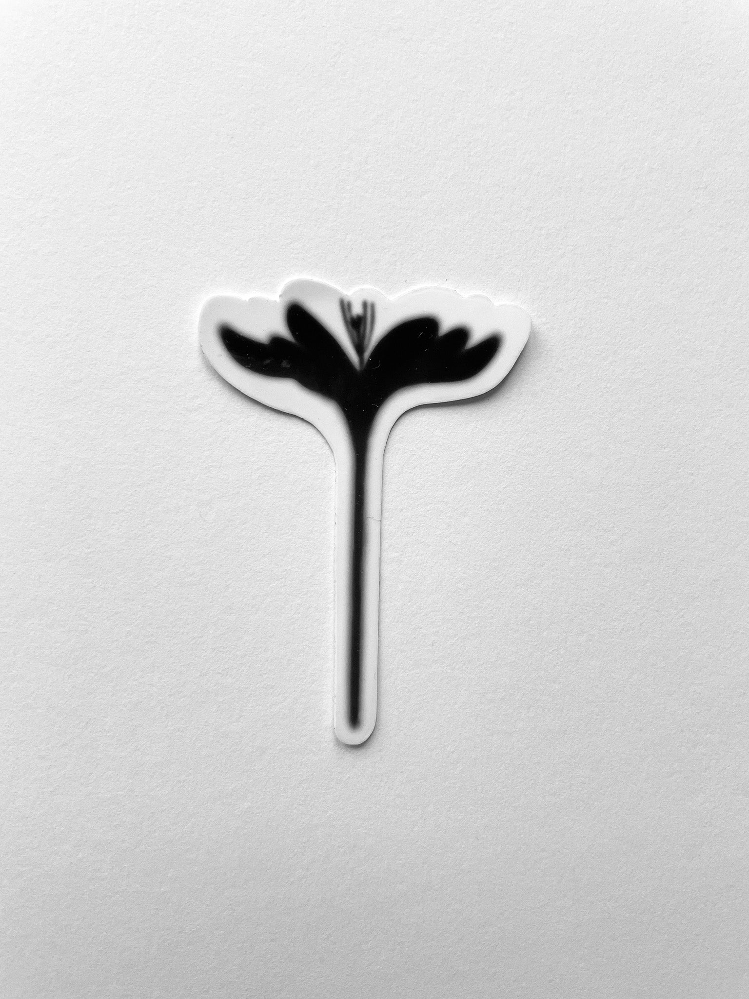 Crocus Sticker