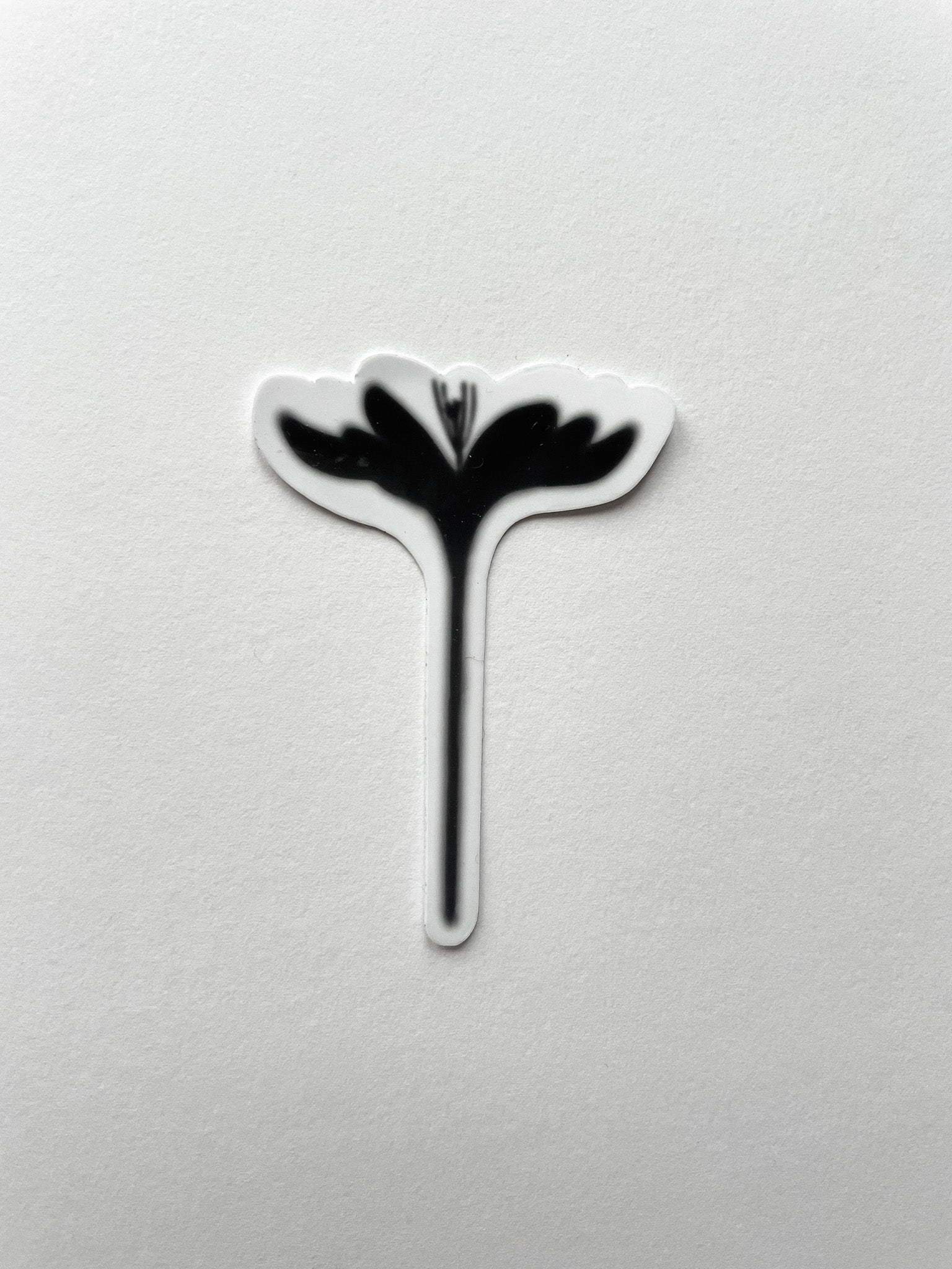 Crocus Sticker