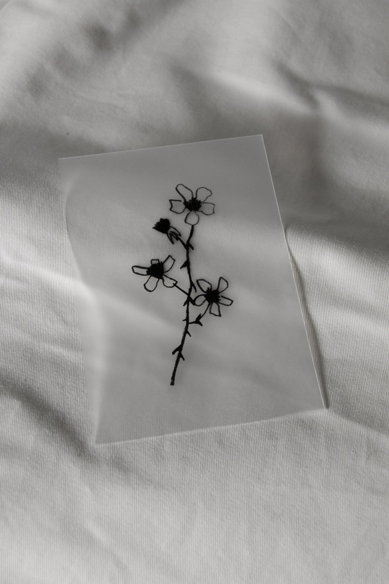 Transparent Postcard