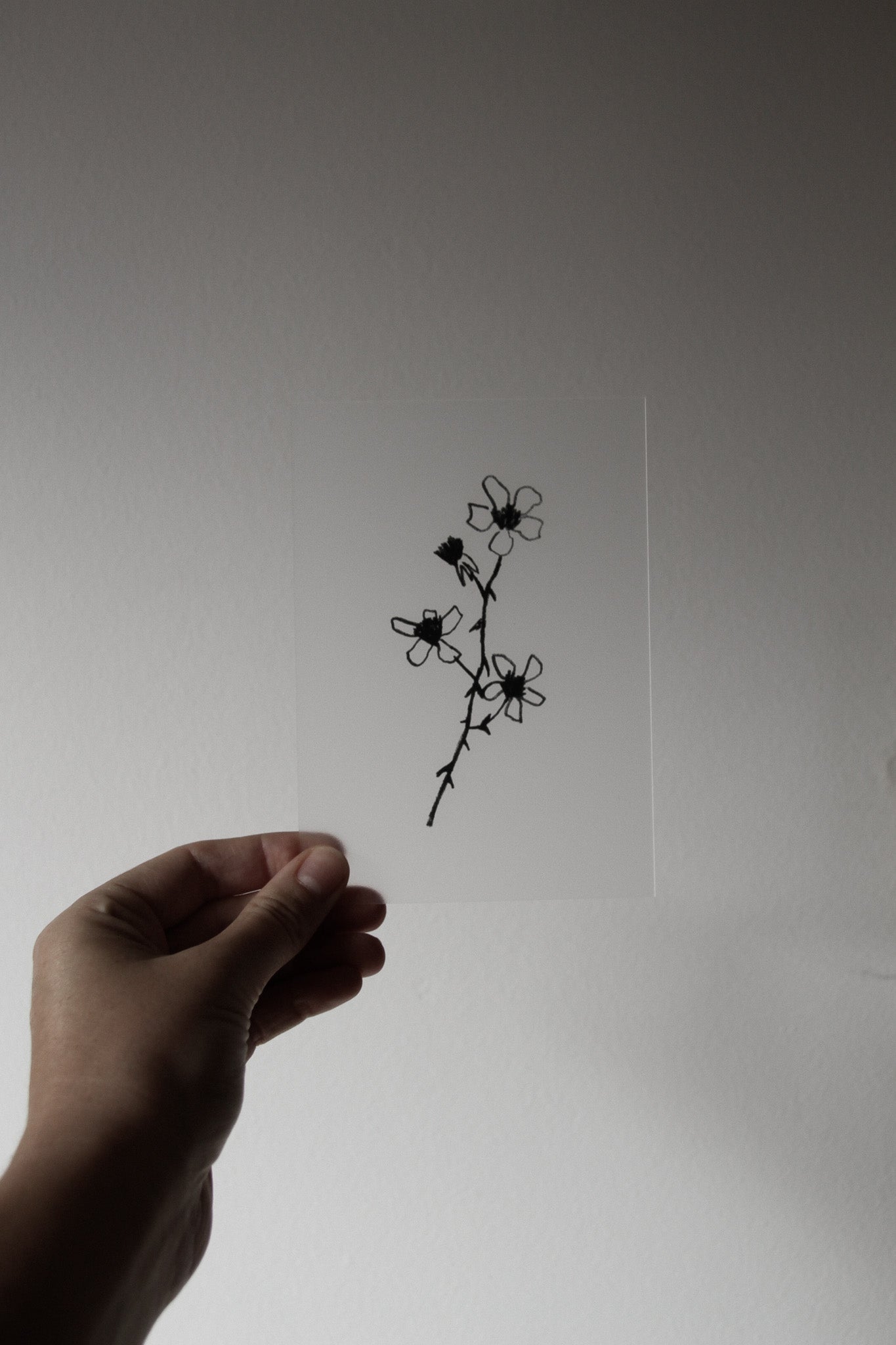 Transparent Postcard