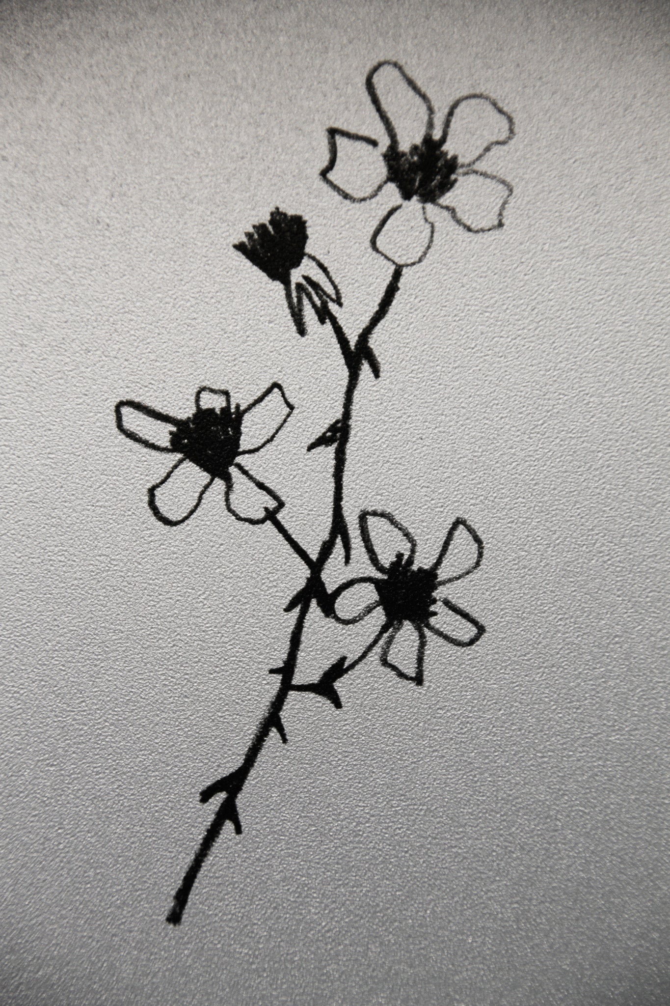 Transparent Postcard