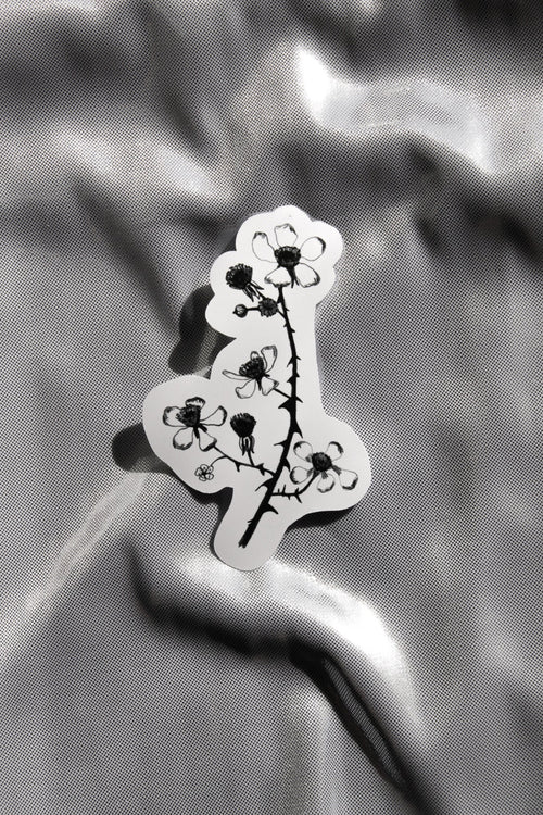 Brombeer Sticker
