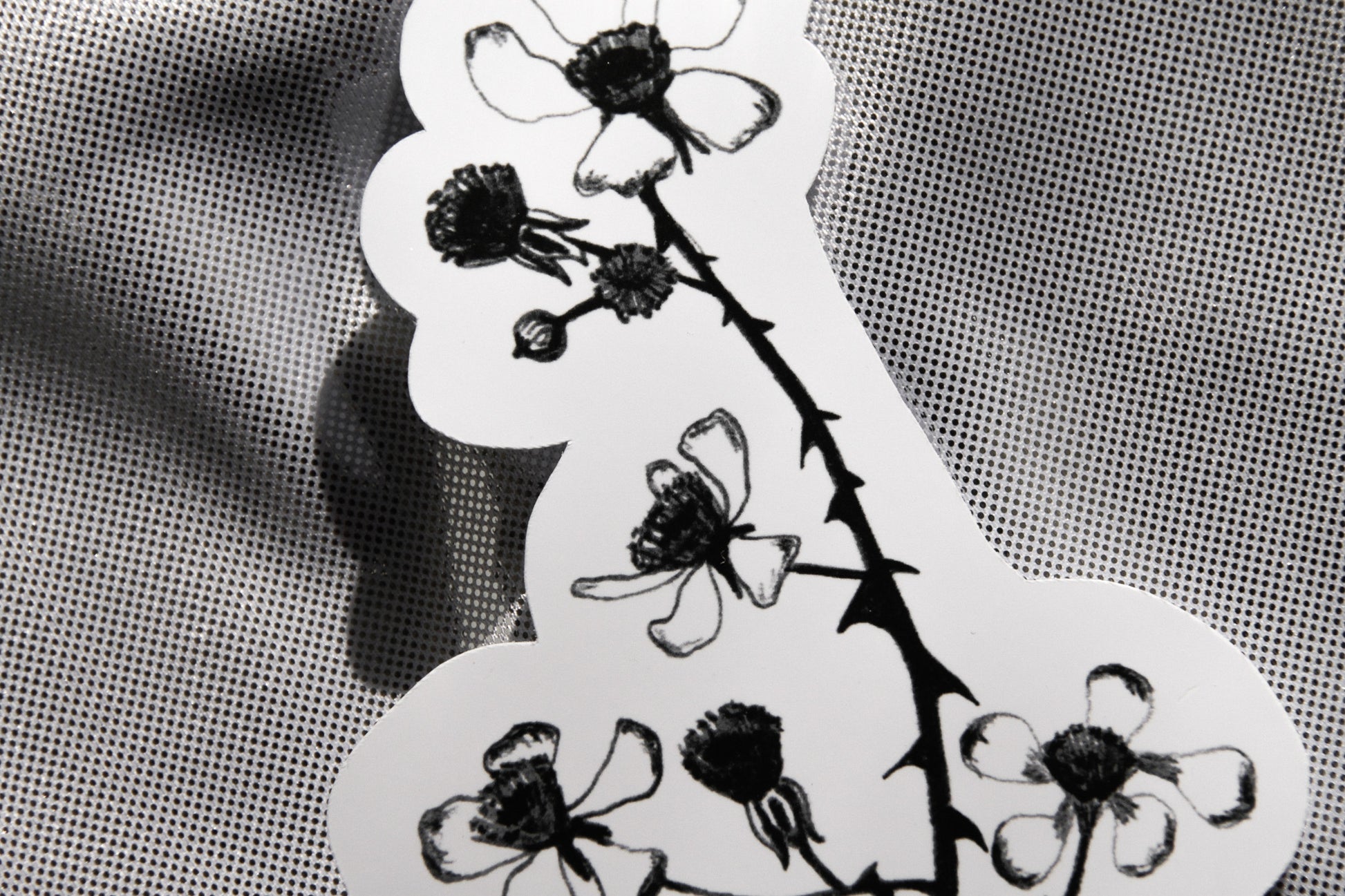 Brombeer Sticker