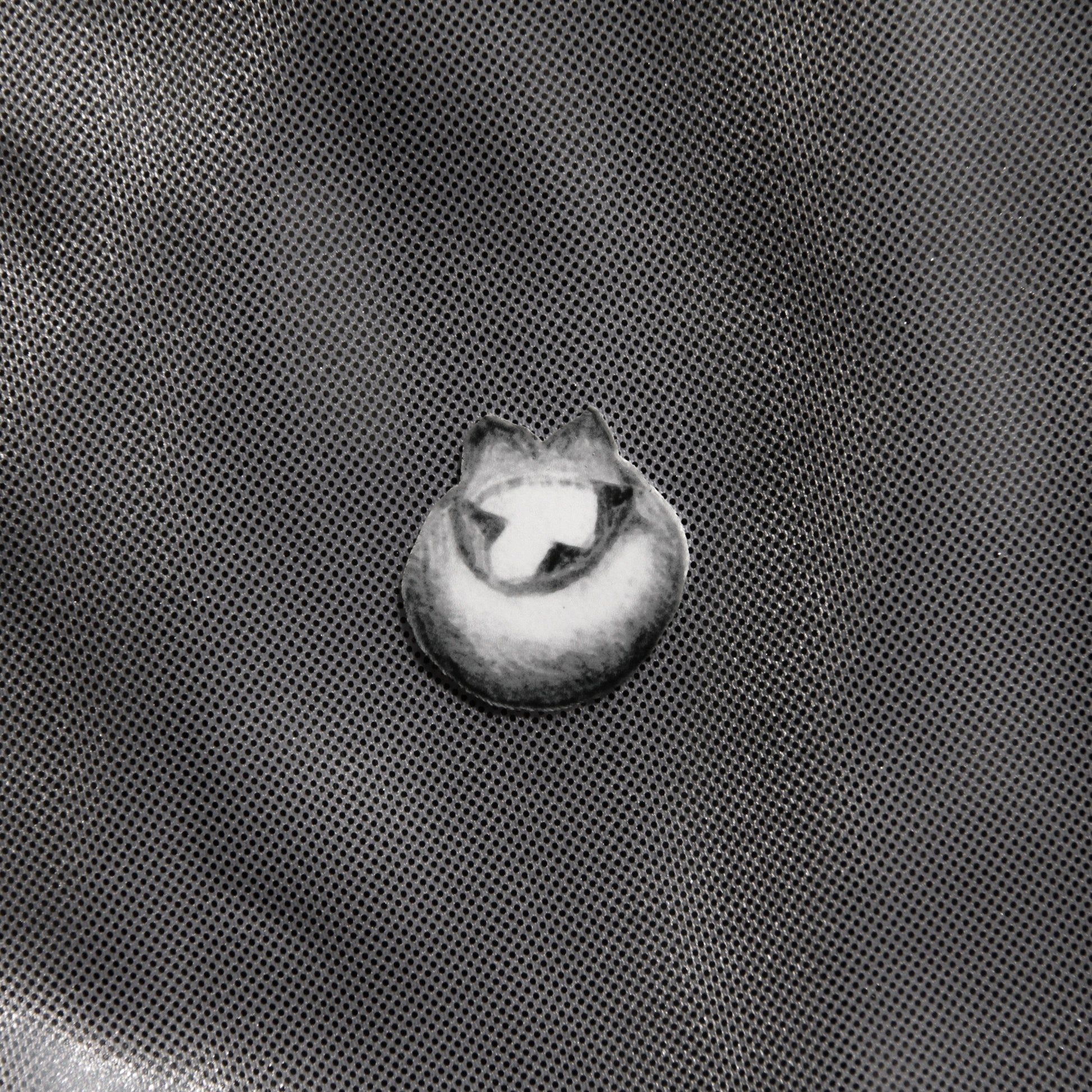 Blueberry Sticker