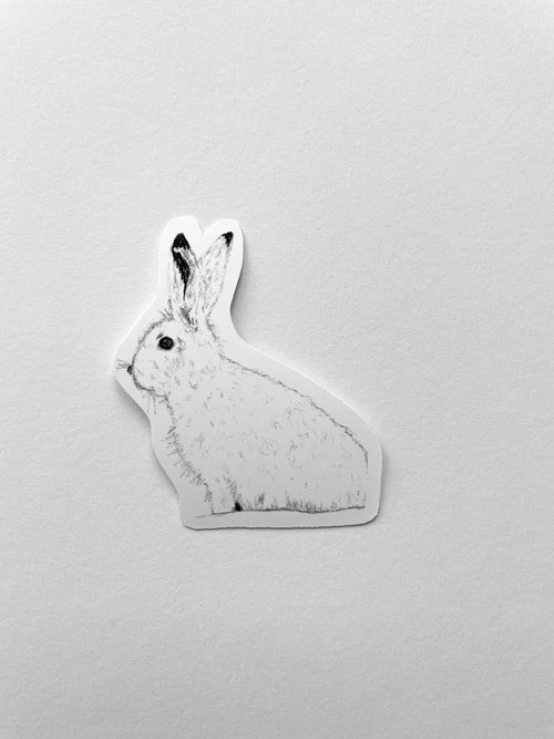 Arctic hare Sticker