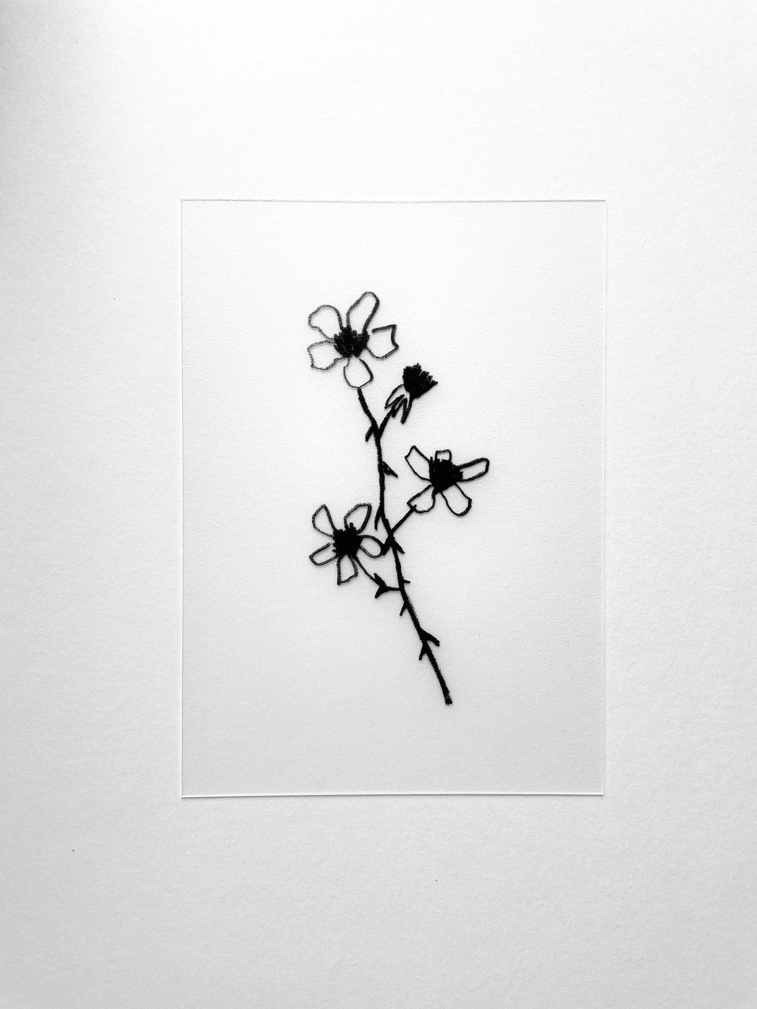 Transparent Postcard